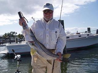 30 inche jupiter snook